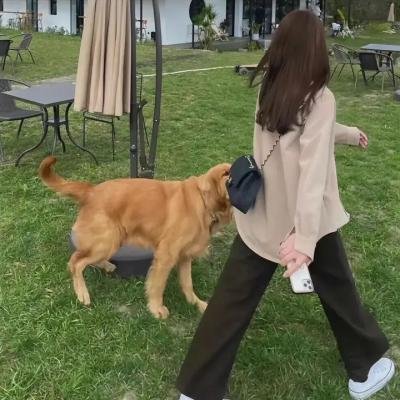 小可爱娜斯佳第五季 在线观看